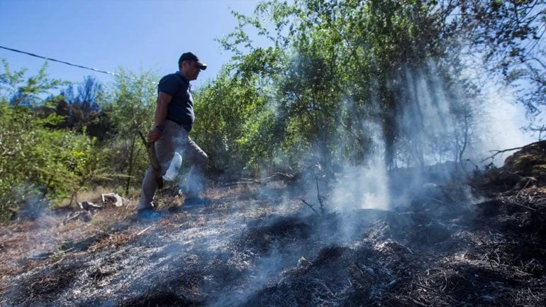 Υπό έλεγχο τέθηκε η πυρκαγιά στο Γκραν Κανάρια